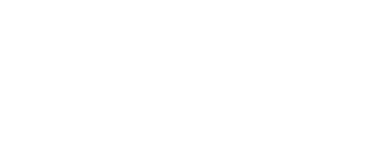 Besler Holdings
